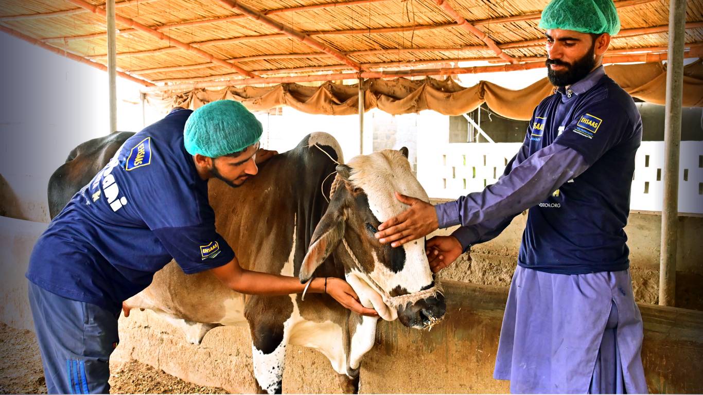 Qurbani 2025 Teams Getting Ready