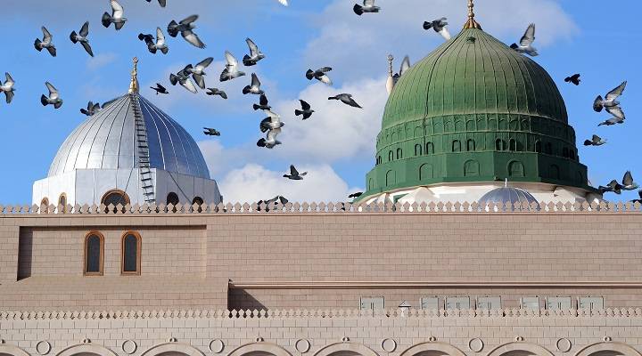 Gifts for Prophet's (saw) Family